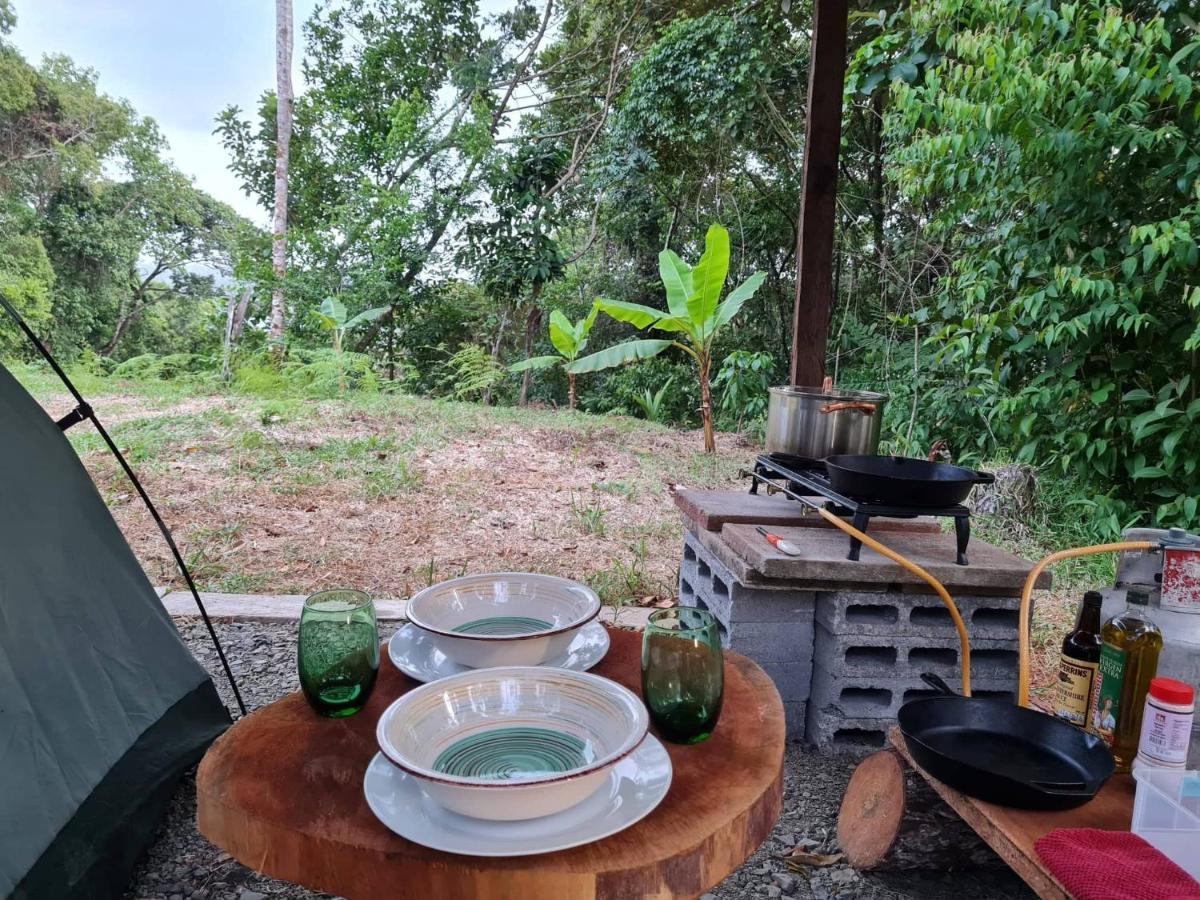 Jungle Eco Reserve Ξενοδοχείο Colon Εξωτερικό φωτογραφία
