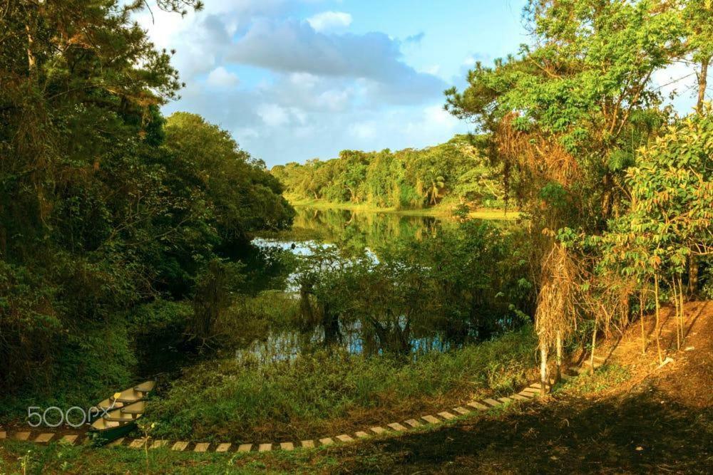 Jungle Eco Reserve Ξενοδοχείο Colon Εξωτερικό φωτογραφία