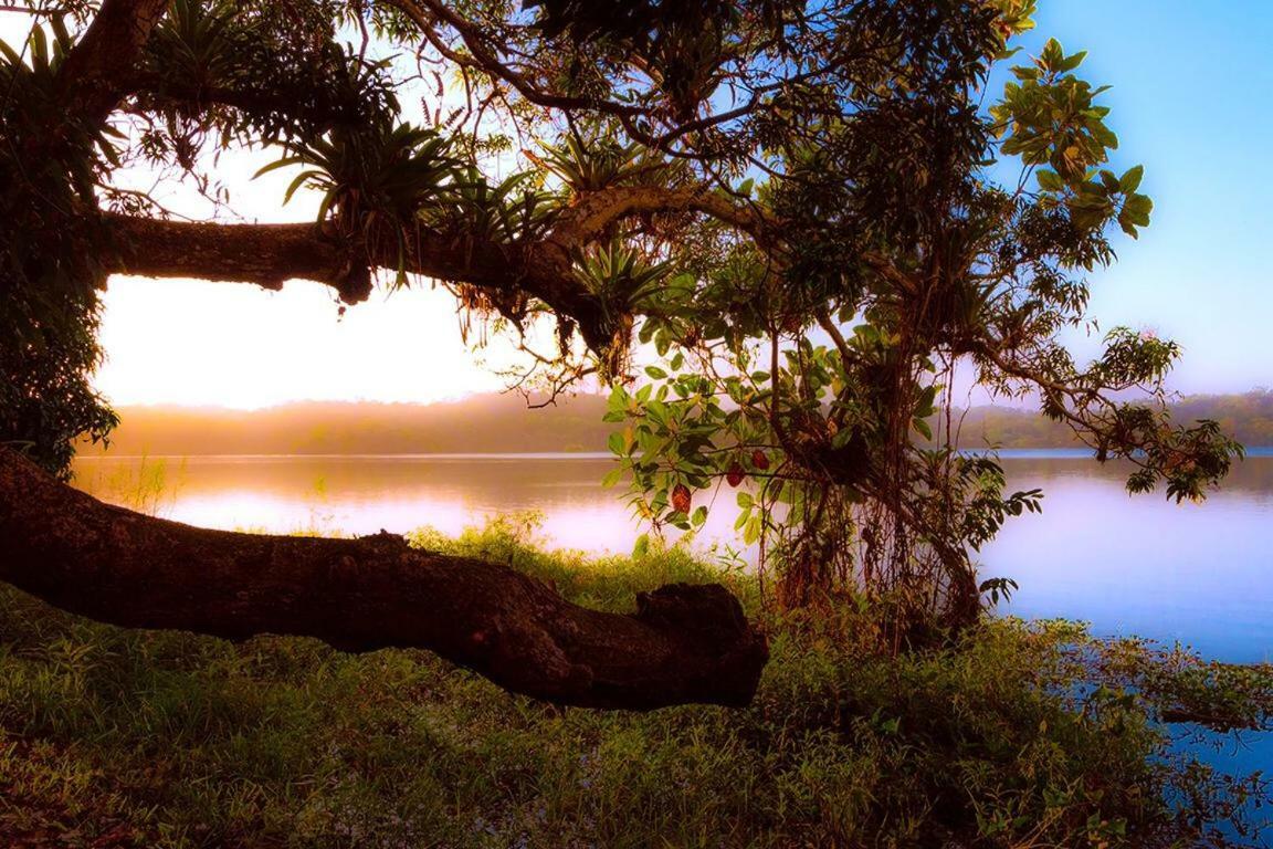 Jungle Eco Reserve Ξενοδοχείο Colon Εξωτερικό φωτογραφία