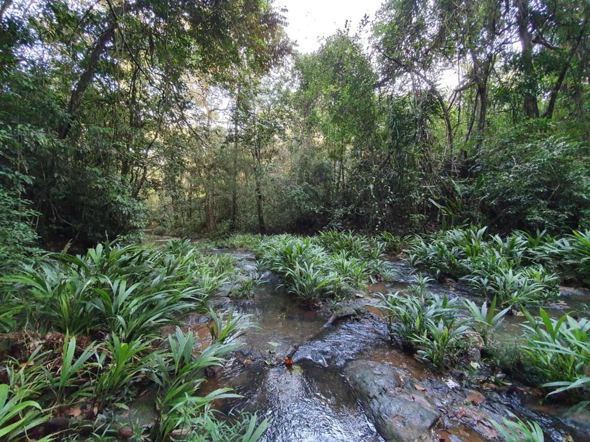 Jungle Eco Reserve Ξενοδοχείο Colon Εξωτερικό φωτογραφία